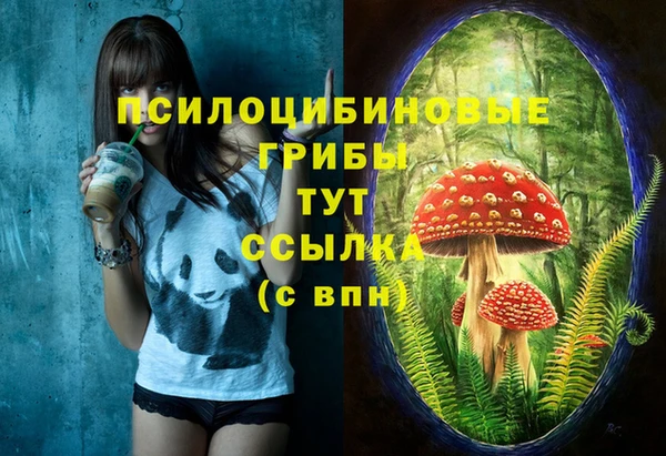гидропоника Беломорск